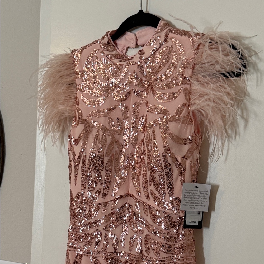 Pink Sequin Feather Floorlength Dress